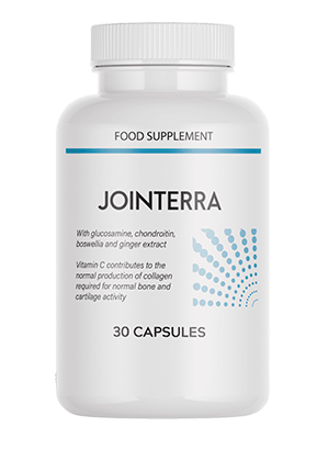 Jointerra